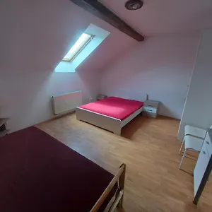 Apartament Zizkov A, Praga
